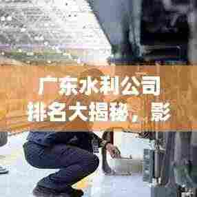 广东水利公司排名大揭秘,影响力深度分析!