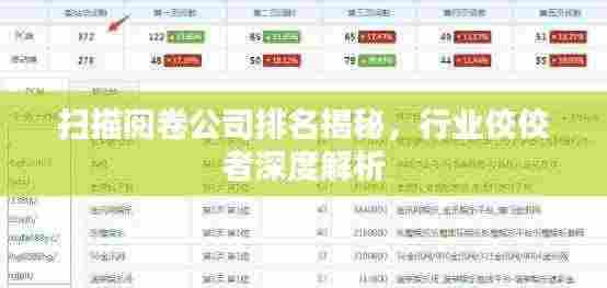 扫描阅卷公司排名揭秘,行业佼佼者深度解析