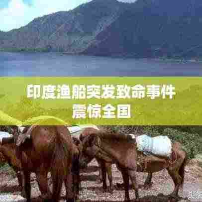 印度渔船突发致命事件震惊全国