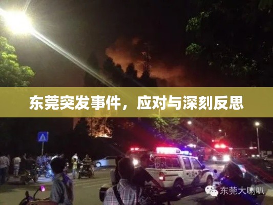 东莞突发事件,应对与深刻反思