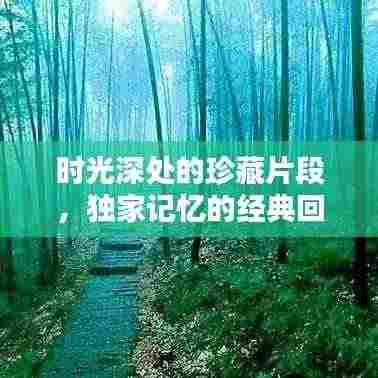 时光深处的珍藏片段,独家记忆的经典回顾