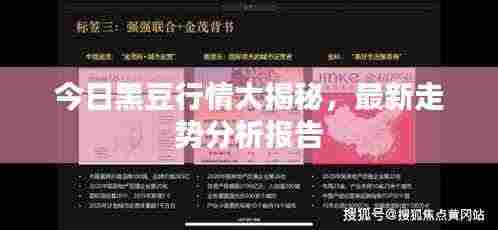 今日黑豆行情大揭秘，最新走势分析报告