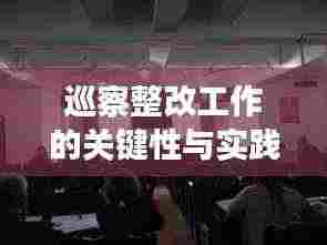 巡察整改工作的关键性与实践探索