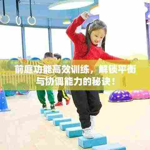 前庭功能高效训练，解锁平衡与协调能力的秘诀！