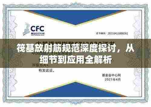 筏基放射筋规范深度探讨，从细节到应用全解析