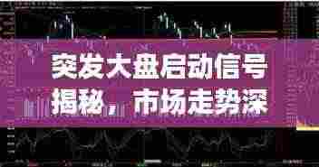突发大盘启动信号揭秘,市场走势深度分析与应对策略探讨