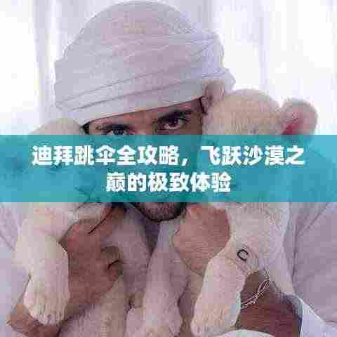 迪拜跳伞全攻略，飞跃沙漠之巅的极致体验