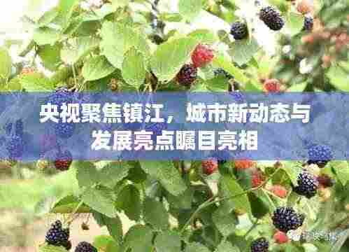 央视聚焦镇江，城市新动态与发展亮点瞩目亮相