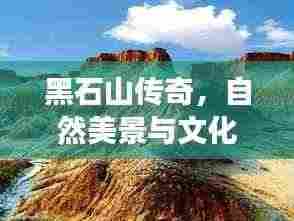 彬彬有礼 第3页