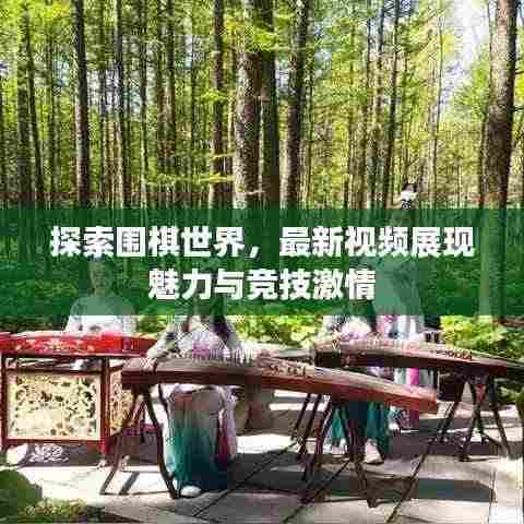 探索围棋世界,最新视频展现魅力与竞技激情