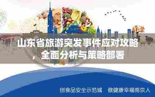 山东省旅游突发事件应对攻略,全面分析与策略部署