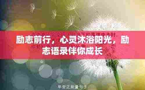 励志前行，心灵沐浴阳光，励志语录伴你成长