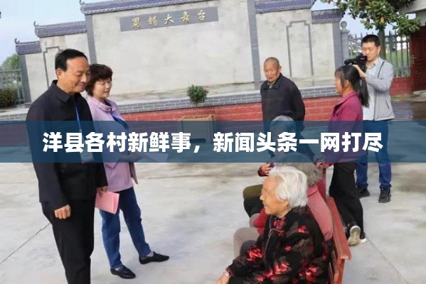 洋县各村新鲜事，新闻头条一网打尽