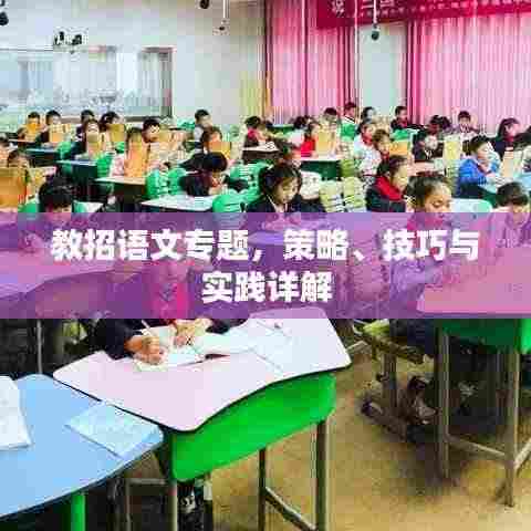 教招语文专题,策略、技巧与实践详解