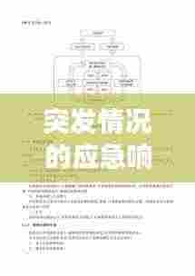 突发情况的应急响应与管理机制，高效应对危机，保障安全稳定