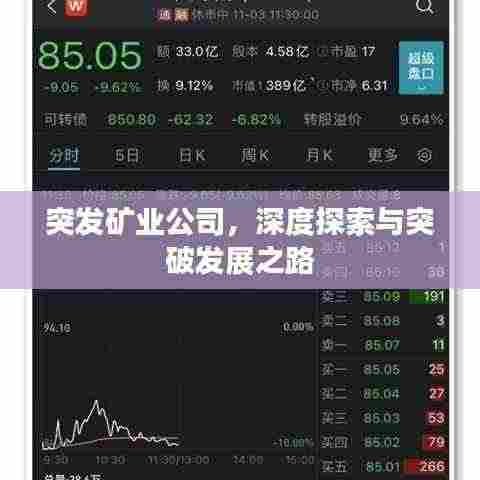 笨鸟先飞 第2页