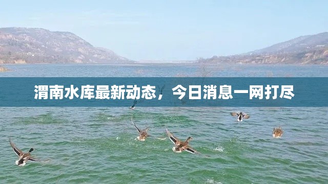 渭南水库最新动态，今日消息一网打尽