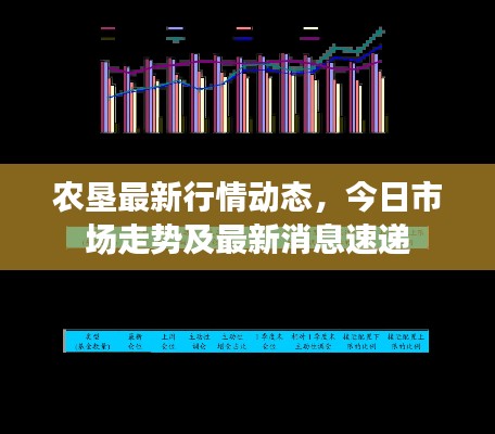 农垦最新行情动态,今日市场走势及最新消息速递