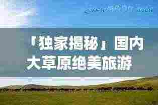 物以希为贵 第3页