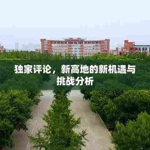独家评论,新高地的新机遇与挑战分析