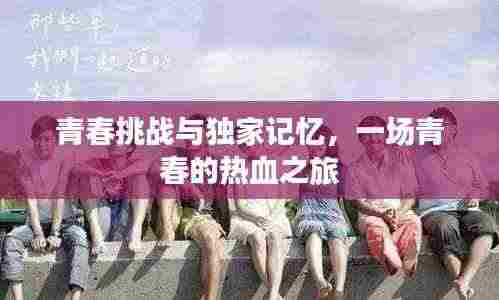 青春挑战与独家记忆,一场青春的热血之旅