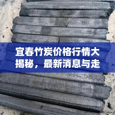 宜春竹炭价格行情大揭秘,最新消息与走势分析!