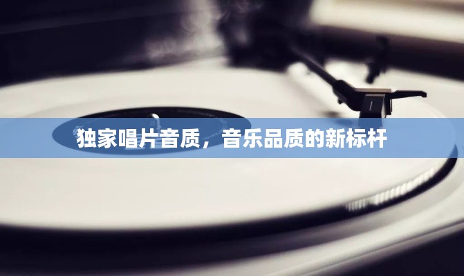 独家唱片音质,音乐品质的新标杆