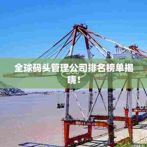 全球码头管理公司排名榜单揭晓！