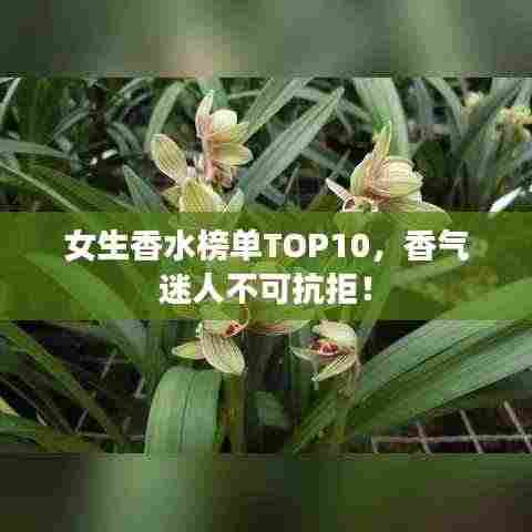 女生香水榜单TOP10，香气迷人不可抗拒！