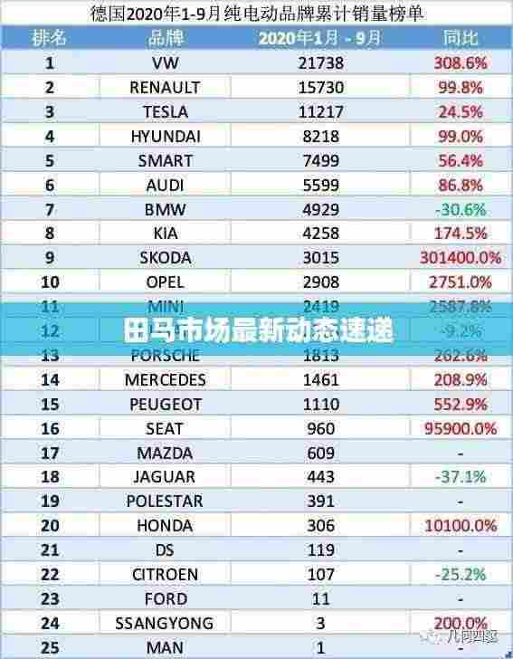田马市场最新动态速递