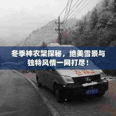 冬季神农架探秘,绝美雪景与独特风情一网打尽!