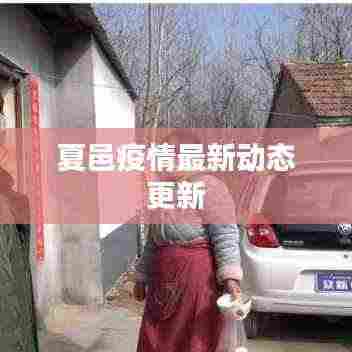 夏邑疫情最新动态更新
