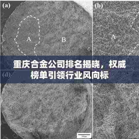 重庆合金公司排名揭晓，权威榜单引领行业风向标