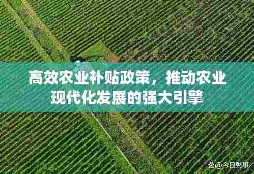 高效农业补贴政策,推动农业现代化发展的强大引擎