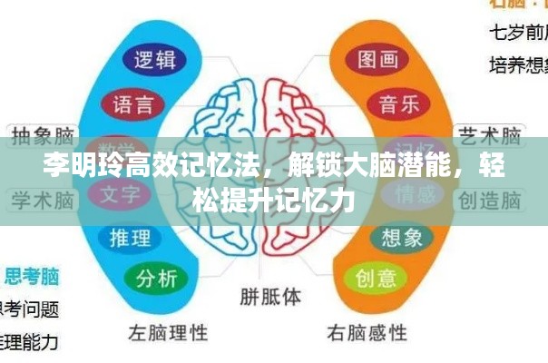 李明玲高效记忆法,解锁大脑潜能,轻松提升记忆力