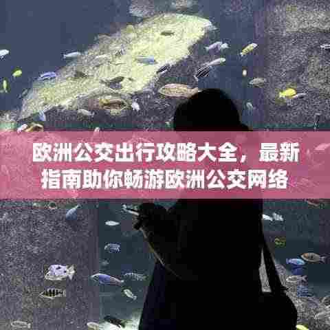 欧洲公交出行攻略大全,最新指南助你畅游欧洲公交网络