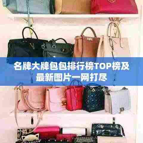 名牌大牌包包排行榜TOP榜及最新图片一网打尽