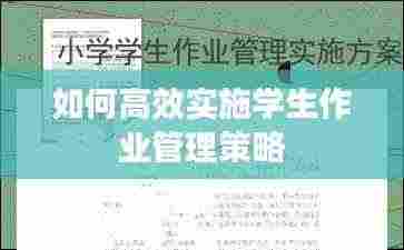 如何高效实施学生作业管理策略