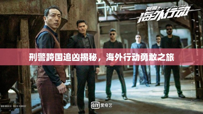 刑警跨国追凶揭秘,海外行动勇敢之旅