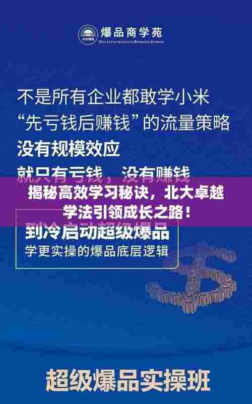 揭秘高效学习秘诀,北大卓越学法引领成长之路!