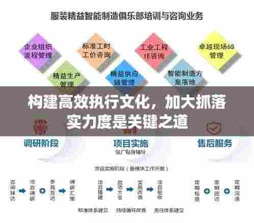构建高效执行文化，加大抓落实力度是关键之道