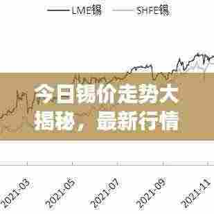 今日锡价走势大揭秘,最新行情与成品市场动态全解析