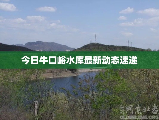 今日牛口峪水库最新动态速递
