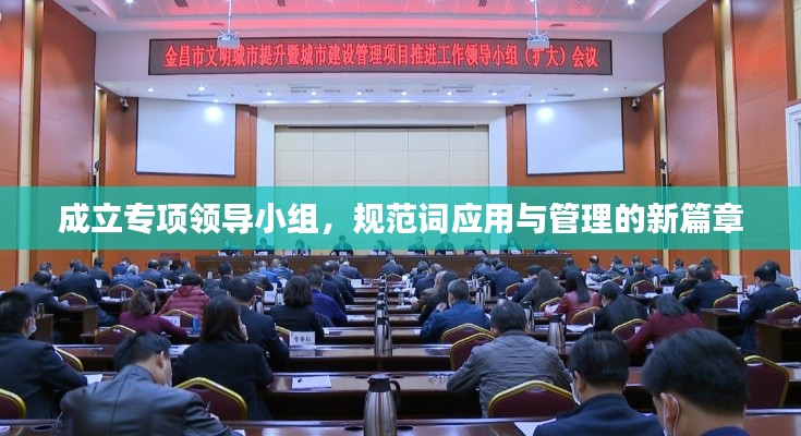 成立专项领导小组,规范词应用与管理的新篇章