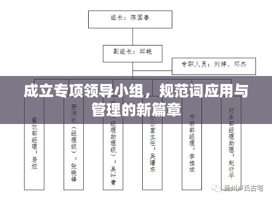 成立专项领导小组,规范词应用与管理的新篇章