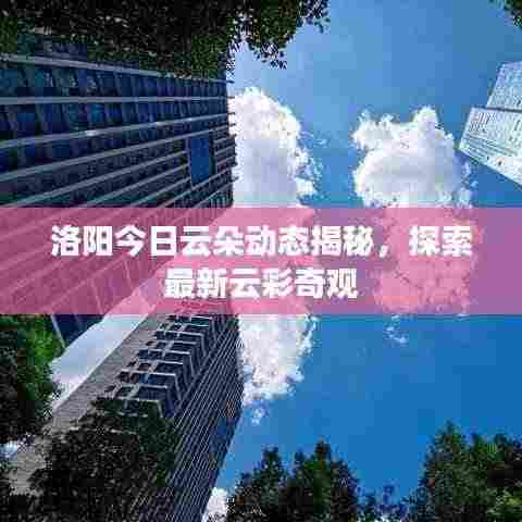 洛阳今日云朵动态揭秘,探索最新云彩奇观