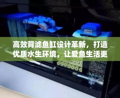 高效背滤鱼缸设计革新,打造优质水生环境,让爱鱼生活更美好!