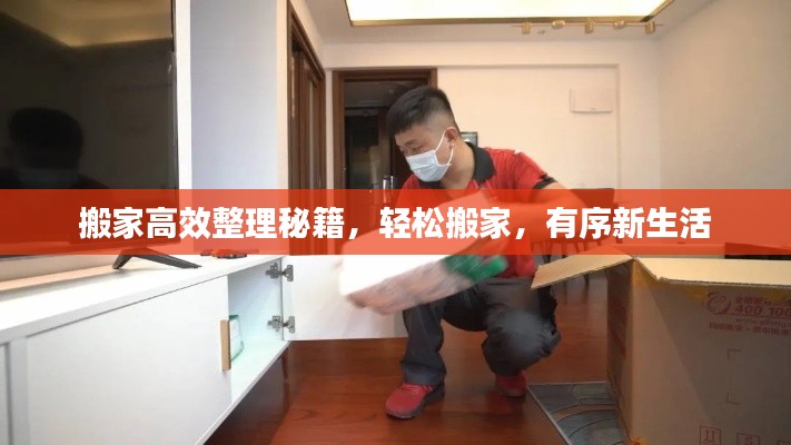 搬家高效整理秘籍,轻松搬家,有序新生活