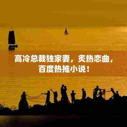 高冷总裁独家妻，炙热恋曲，百度热推小说！