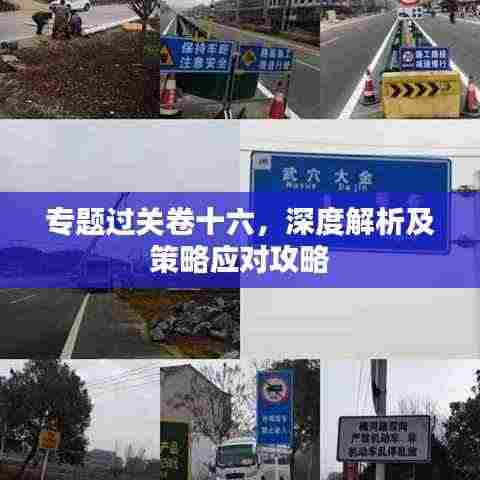 专题过关卷十六,深度解析及策略应对攻略